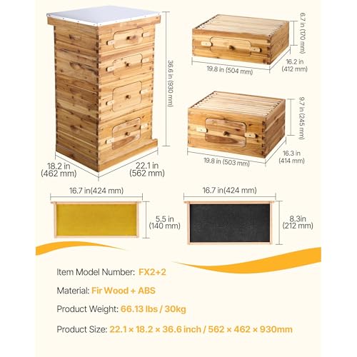 Bee Hive 40 Frame Bee Hives Starter Kit, Beeswax Coated Cedar Wood, 2 Deep + 2 Medium Bee Boxes Langstroth Beehive Kit, Transparent Acrylic Windows with Foundations for Beginners Pro Beekeepers Stur