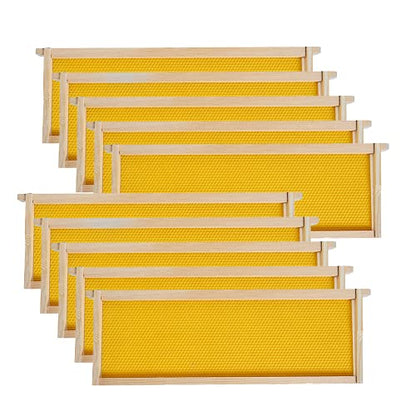 Medium Super Beehive Frames with Wax Foundations, 10 Pack Honey Bee Frames with 100% Beeswax Coated Food Grade Foundation Sheets, 6-1/4-Inch (Yellow) - color: Yellow Foundatiom, size: 10 Count (Pack of 1)