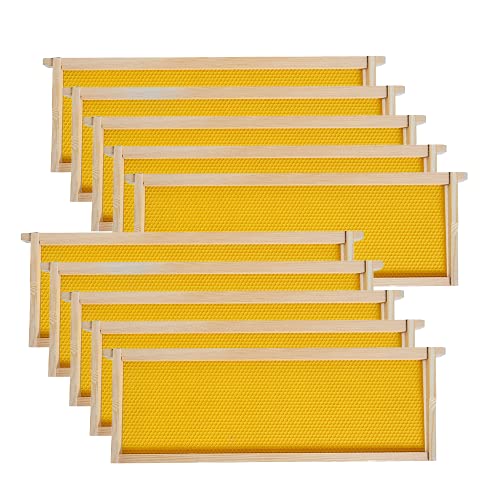 Medium Super Beehive Frames with Wax Foundations, 10 Pack Honey Bee Frames with 100% Beeswax Coated Food Grade Foundation Sheets, 6-1/4-Inch (Yellow) - color: Yellow Foundatiom, size: 10 Count (Pack of 1)
