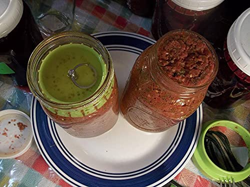 2 Pickle Pusher Small Batch Fermentation Kits. Complete with Airlock and Weight-Replacement. BPA Free. Holds 25X More Than Fermenting Weights. Fits Widemouth Mason Jars Not Included