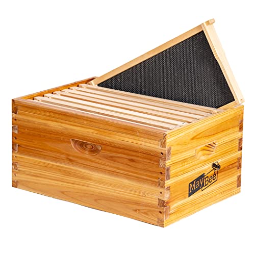 8-Frame Beehive Box Langstroth Deep Brood Box Dipped in 100% Beeswax Includes Wooden Frames & Waxed Foundations (Unassembled) - size: 8-frame deep box