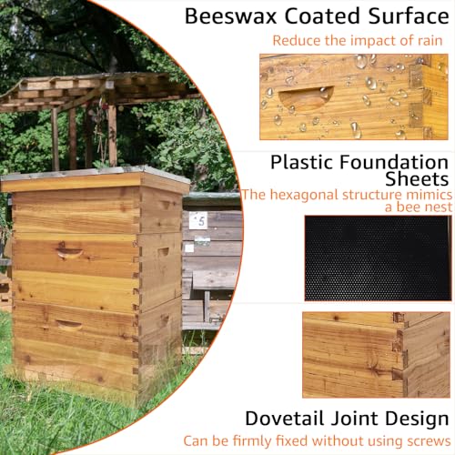 10 Frame Langstroth Beehive Kit - Beeswax Coated 3-Layer Bee Hive (2 Deep Brood + 1 Medium Super) Professional Wood Box, Frames NOT Included