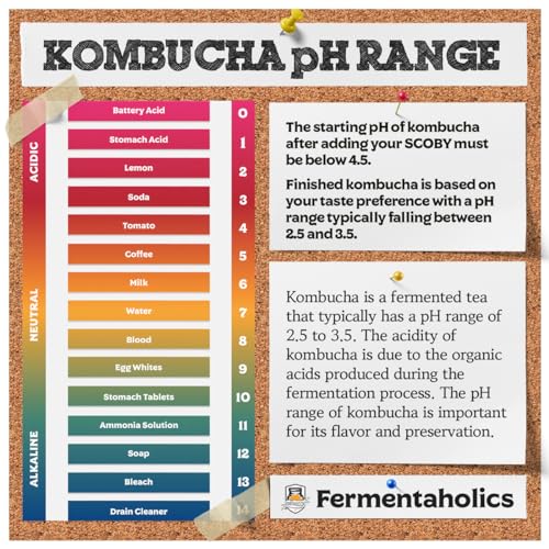 Fermentaholics Kombucha & Fermentation pH Test Strips – Instant Read pH Strips Dispenser for Brewing & Fermentation, pH Range 0–6 - size: pH Test Sticks