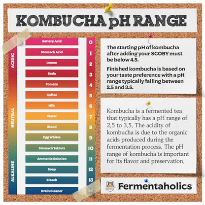 Fermentaholics Kombucha & Fermentation pH Test Strips – Instant Read pH Strips Dispenser for Brewing & Fermentation, pH Range 0–6 - size: pH Test Sticks