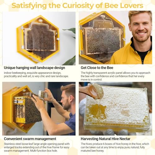 Observation Beehive Starter Kit with 3 Frames & 6 Honeycomb Trays, Wall-Mounted Hexagon Bee Hive with Acrylic Viewing Window, Medium Size for Indoor, Garden, or Educational Beekeeping