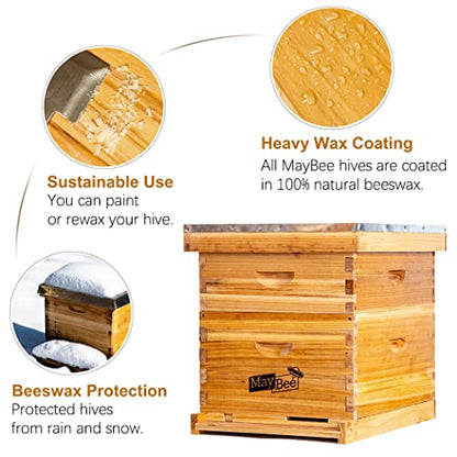 Beehive 10 Frame Bee Hives and Supplies Starter Kit, Bee Hive for Beginner, Honey Bee Hives Includes 1 Deep Brood Hive Box, 1 Bee Hive Super Box with Beehive Frames and Foundations