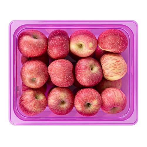 Restaurantware Food Storage Container 1 Pack of 9.5 qt Plastic Stackable Microwave-Safe Bin Dishwasher Safe Freezer Safe Purple Containers for Kitchen Storage - size: Half Size