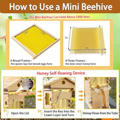 Bee Hive Starter Kit with 4 Frames,Wooden Beehive Box with Observation Window, Complete Honey Bee Hive Kit for Backyard Beekeeping Natural Wood Color