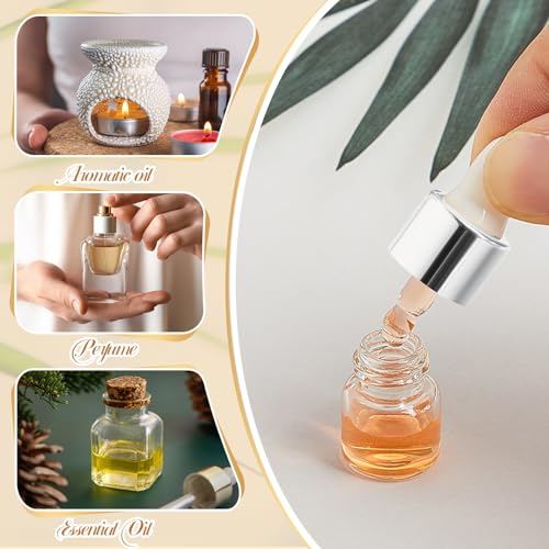 Didaey 100 Pcs 1/2/3/5/10/15 ml Mini Glass Oil Dropper Bottle Bulk, Clear Essential Small Empty Bottles Sample Containers Perfume Liquid Vials with Cap for Traveling (1 ml,Classic Silver) - color: Classic Silver, size: 1 ml