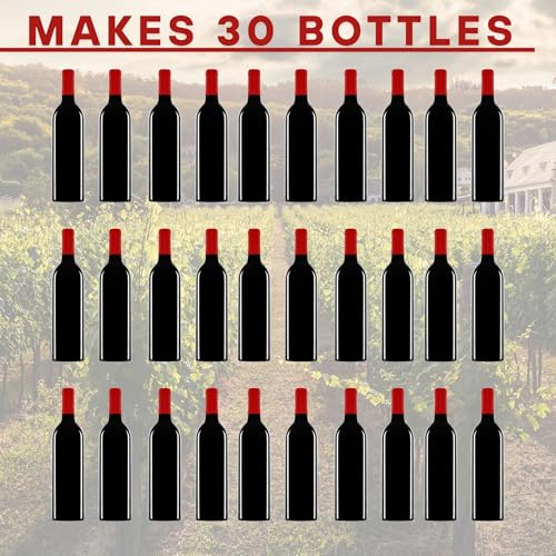 Master Vintner - Beginner Weekday Wine Making Kit - Shiraz - color: Shiraz