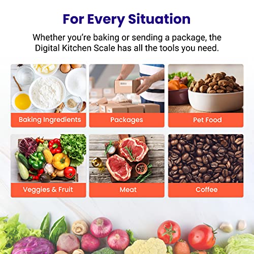 Etekcity 0.1g Food Kitchen Scale,Bowl,Digital Grams and Ounces for Weight Loss,Dieting,Baking,Cooking,and Meal Prep,11lb/5kg,Stainless Steel Silver,(Pack of 12) - color: Arctic Sliver, size: 11lb (Pack of 12)
