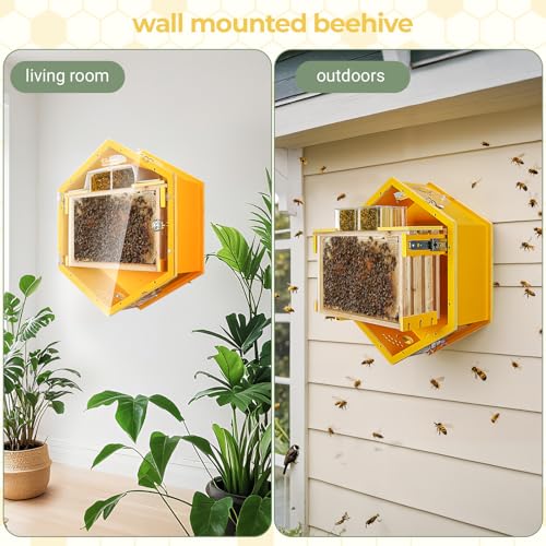 Observation Beehive Starter Kit with 3 Frames & 6 Honeycomb Trays, Wall-Mounted Hexagon Bee Hive with Acrylic Viewing Window, Medium Size for Indoor, Garden, or Educational Beekeeping