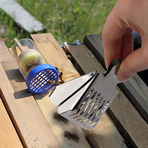 Beekeeping Bee Queen Cage Catcher Clips, Stainless Steel Beekeeper Catching Tool,Beekeeping Equipment (6 Pack)