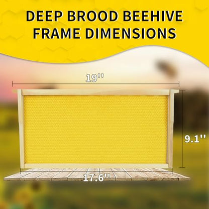 Deep Brood Beehive Frames with Wax Foundations 20 Pack Beeswax Coated Foundations 9-1/8-Inch Beekeeping Supplies - size: 20 Pack Deep Brood Beehive Frames