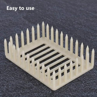 6 Pcs Queen Bee Cage Plastic Beekeeping Rearing Box for Isolation Queen Bee Transporting Catcher Tool