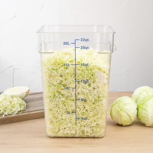 Restaurantware Met Lux 22 Quart Brine Buckets 10 Square Marinating Containers - With Volume Markers Built-In Handles Clear And Blue Plastic Dough Rising Buckets Freezer-Safe Lids Sold Separately - size: 22 Quarts, style: 10 Count