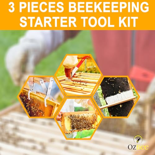 OZBEE 3 Pcs Bee Hive Tools for Beekeepers, Stainless Steel J Hook Frame Lifter & Scraper, Bee Hive Frame Grip Holder Lifter, Beekeeping Brush with Wooden Handle, Flow Hive Beekeeping Kit Accessories