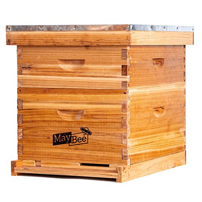 Beehive 10 Frame Bee Hives and Supplies Starter Kit, Bee Hive for Beginner, Honey Bee Hives Includes 1 Deep Brood Hive Box, 1 Bee Hive Super Box with Beehive Frames and Foundations