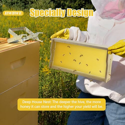 30PCS Pack Beehive Frames and Wax Foundations for Deep Brood Bee Hives 100% Beeswax Coated Foundations Yellow