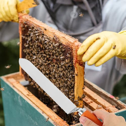 Stainless Steel Honey Uncapping Cutter with Ergonomic Non-Slip Wooden Handle Manual Beekeeper Scraper Tool for Efficient Honey Extraction and Collection Random Color