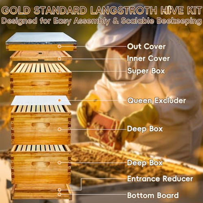 10-Frame Langstroth Beehive Beeswax Coated, 3 Layer Complete Bee Hive Kit Include Bee Frames and Waxed Foundation Sheets for Beekeeping (2 Deep Boxes & 1 Medium Box)