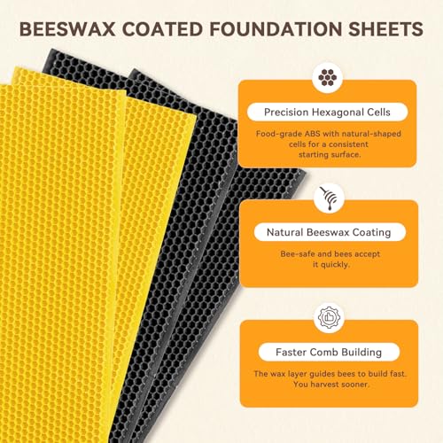 10-Frame Langstroth Bee Hive,3 Layers Beeswax Coated Beehive Kit Includes 2 Deep Brood Hive Boxes and 1 Medium Super Bee Box with Beehive Frames and Foundations - size: 3 Layers