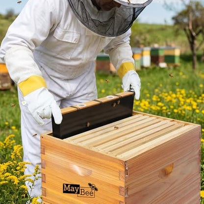 MayBee 4 Pack 3.5L Beehive Feeder Beeswax Coated Beehive Frame Feeder Deep Frame Sugar Water Feeder for Bee Feeding - size: 3.5L-4Pack