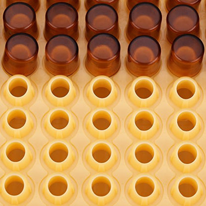 Plastic Queen Rearing System, Beekeeping Queen Bee Rearing Grafting Kit Rearing Box Cage Beekeeping Tools for Queen Beel Beekeeping Equipment