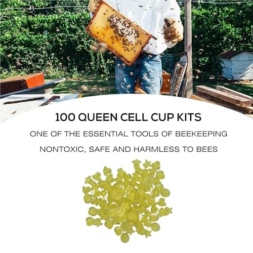 300PCS Queen Bee Rearing Cup Plastic Vivid Color Beekeeping Bee Cell Cup for Beekeeper Equipment Bees Tools(Yellow) - color: Yellow
