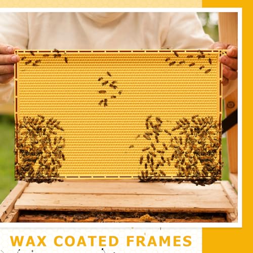 DoubleFill 10 Pack Plastic Beehive Frames and Wax Foundations All in One Bee Hive Frames with Beeswax Coated Foundations Bee Frames Beekeeping Frames for Deep Brood Bee Hives 9 1/8 Inches(Yellow) - color: Yellow