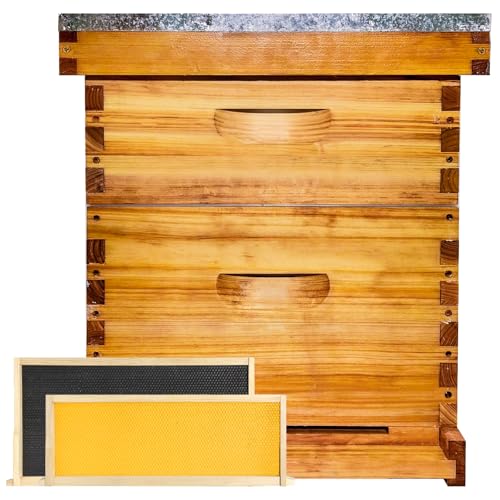 Beginner 8 Frame Bee Hive Beeswax Coated Includes Beehive Frames and Foundations (1 Deep Box & 1 Medium Box)