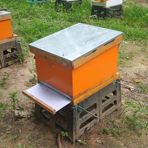 Beehive Screened Bottom Board Dipped in 100% Beeswax,Langstroth 10 Frame Bee Hive Screen Bottom Board with Entrance Reducer for Bee Hive Beekeeping Backyard - size: 1 Pack 10 Frame