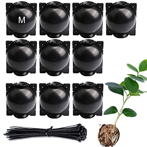 Tree Root Growing Box, Reusable Transparent Plants Asexual Reproduction Grafting Ball, High Pressure Air Layering Pods Propagation Kit (10pcs Meidum) - color: Black-m-10pack