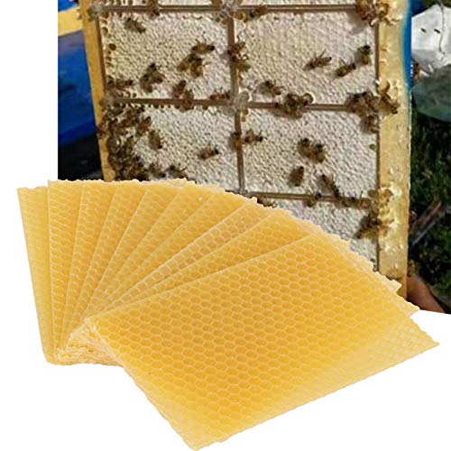 10Pcs Beekeeping Beeswax Foundation Beehive Wax Frame, Yellow Beehive Wax Coated Foundation Sheet, Portable Waxed Foundation Sheets for Beehive Medium Frames