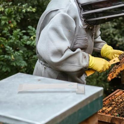 Stainless Steel Beekeeping Hive Tool with Curved Scraper for Beeswax and Propolis Removal, Wear-Resistant and Sturdy Beekeeping Scraper Tool for Professional Beekeepers