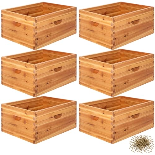 Marsui 6 Pcs Bee Hive 10 Frame Deep Bee Hive Box, Langstroth Beehive Boxes Natural Beeswax with Window, Beehive Frames and Beeswaxed Foundations