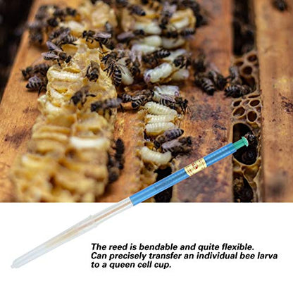 Beekeeping Moving Grafting Tools, Larva Rearing with a Thin Reed Squeegee Pen Worm Shift Needle Accurately Shift Pin Feeding Equipment for Beekeeper Bee Hive Queen Apiculture Production Plastic