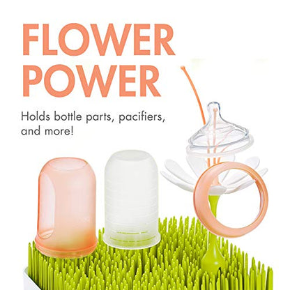 Boon Grass Countertop Drying Rack Bundle - Includes Grass, Stem, and Twig - Capacity for 4 Baby Bottles and Baby Accessories - Baby Bottle-Feeding Supplies - 9.5 x 9.5 x 3