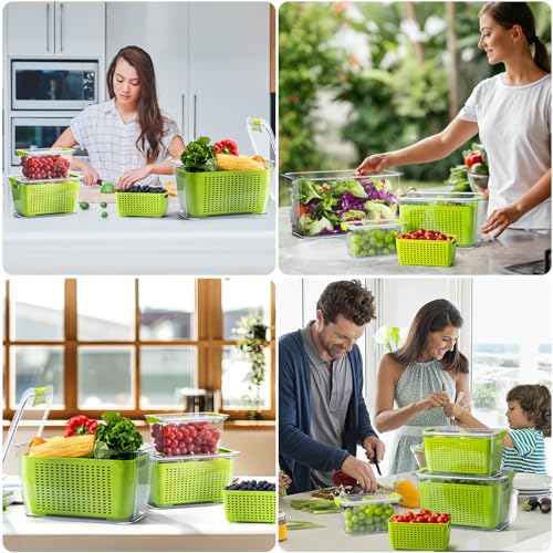 LUXEAR Fresh Container, 3PACK Produce Saver Container BPA Free Fridge Organizer for Vegetable Fruit and Salad Partitioned Food Storage Container with Vents Stay Fresh Containers Not Dishwashers Safe - color: Green
