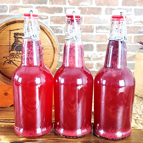 1 Gallon Jun Kombucha Starter Kit - Includes USDA Organic Jun SCOBY & Starter Tea + Ingredients To Start Brewing Your Own Jun Tea * Jar Not Included *