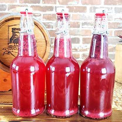 1 Gallon Jun Kombucha Starter Kit - Includes USDA Organic Jun SCOBY & Starter Tea + Ingredients To Start Brewing Your Own Jun Tea * Jar Not Included *