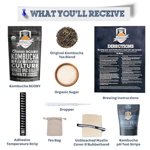 Fermentaholics ORGANIC Kombucha SCOBY With Twelve Ounces of Starter Tea - Live Starter Culture - Makes A One Gallon Batch - 1.5 Cups of Strong Mature Starter Tea - Brew Your Own Kombucha (Kombucha Scoby Starter Pack) - size: 15 Ounce (Pack of 1)