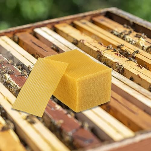 30 Pcs Beeswax Hive Foundation Sheets 5.24x3.54 Inch Natural Wax Frames for Beekeeping Building Honey Production Essential Supplies for Beekeepers Candle Making