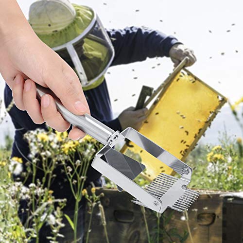 Heavy Duty Stainless Steel Beehive Uncapping Fork Scraper Shovel - Honey Fork for Easy Honey Cutting