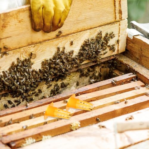 Happyyami 100Pcs Queen Bee Cages Cover Beekeeping Catcher Cup Tube Plastic Bee Isolator Clip Beekeeper Rearing Tools Supplies