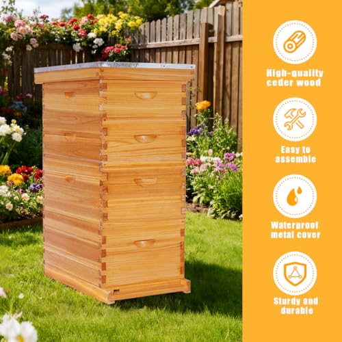 POLLIBEE 8 Frame Bee Hive Beeswax Coated Complete Bee Hives Includes Bee Frames and Waxed Foundations (2 Deep Boxes & 2 Medium Boxes) - size: 8 Frame-4L