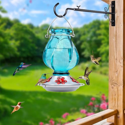 Hummingbird Feeder, BOLITE Glass Hummingbird Feeders for Outdoors Hanging, with Ant Moat and Five Feeding Ports, 22 Ounces, Leak Proof, Blue Bottle - color: Ruby Blue