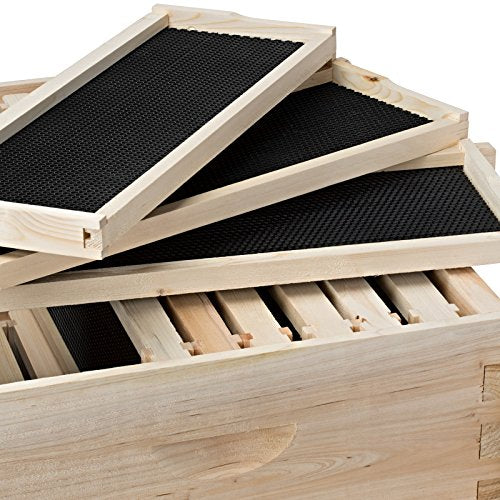 Honey Keeper Beehive 10 Frame Kit Super Box and 10 Deep Frames with Foundations for Langstroth Beekeeping - style: non-waxed