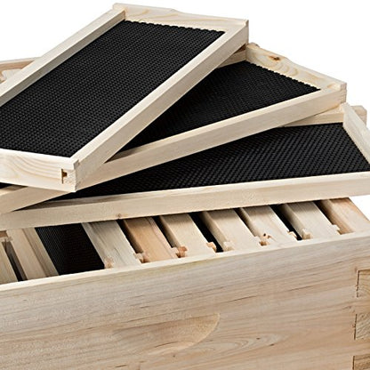 Honey Keeper Beehive 10 Frame Kit Super Box and 10 Deep Frames with Foundations for Langstroth Beekeeping - style: non-waxed