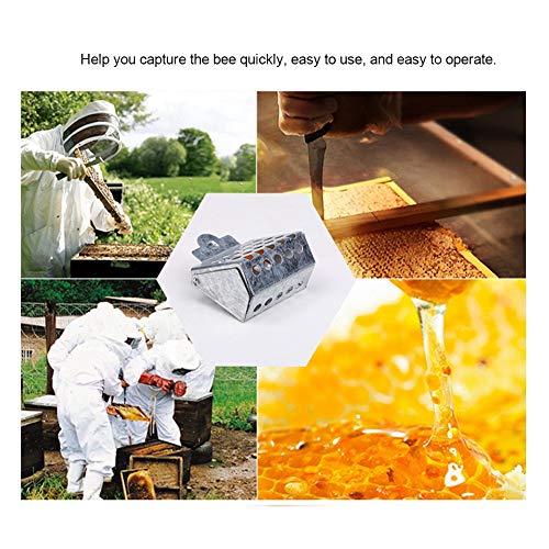 Efficient Galvanized Bee Catcher Clip - Essential Beekeeping Equipment, 2 Bee Queen Cages for Catching Bees